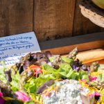 TinyhousesZevenhuizen 5