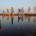 Zevenhuizen – Rotte – aanlegpalen tijdens zonsondergang