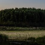25-08-25 Prio 1 Persoon op hoogte – Middelweg (Moerkapelle) – beste (6)