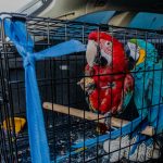25-08-25 Prio 1 Persoon op hoogte – Middelweg (Moerkapelle) – beste (7)