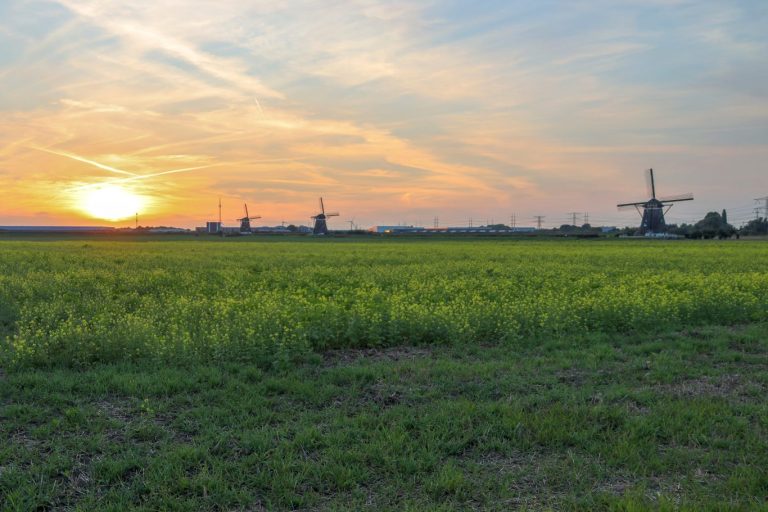 Vereniging Molenvrienden luidt noodklok over windturbines bij unieke Molenviergang