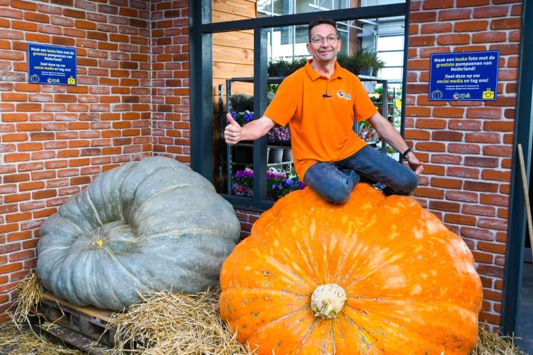 Arie de Jong van Van der Spek Tuincentrum: van Bram Krikke tot megapompoen (video)