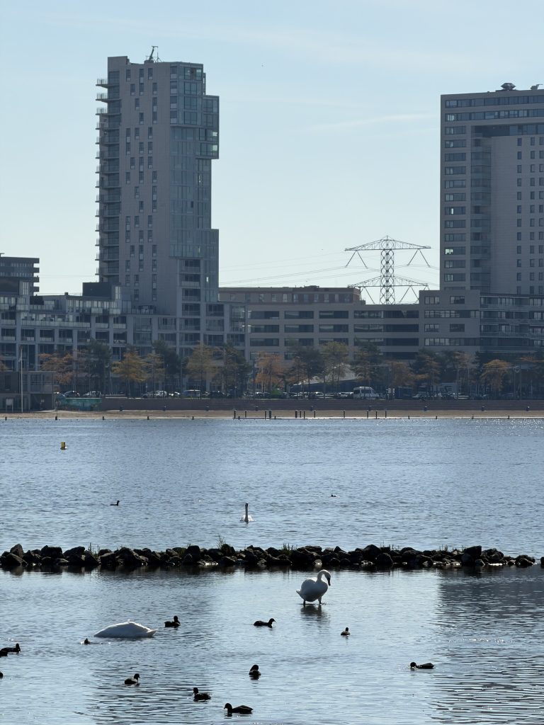 Zevenhuizerplas