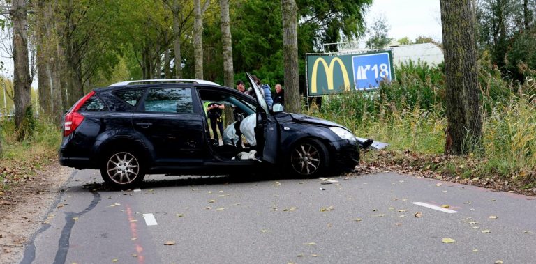 Botsing tegen boom op parallelweg naast A20