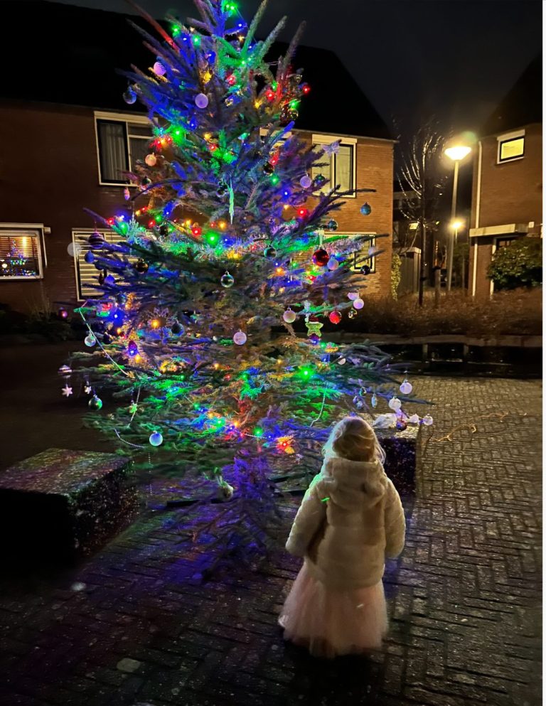 Gratis kerstboom voor in je straat