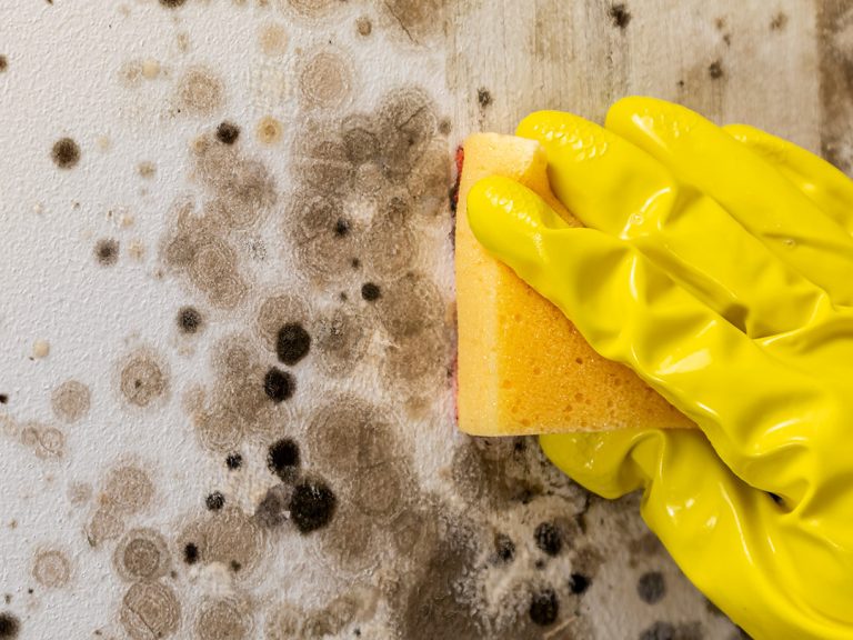 Één op de vijf huishoudens heeft last van schimmel of vocht.