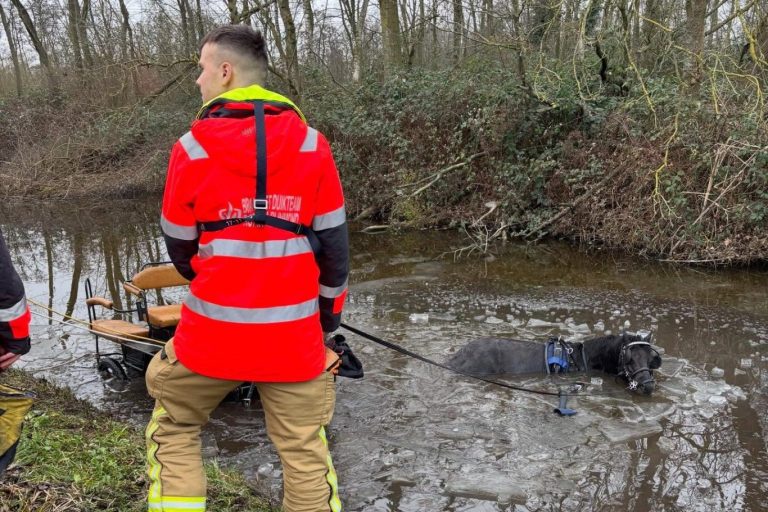 Paard en personen te water in Hitland