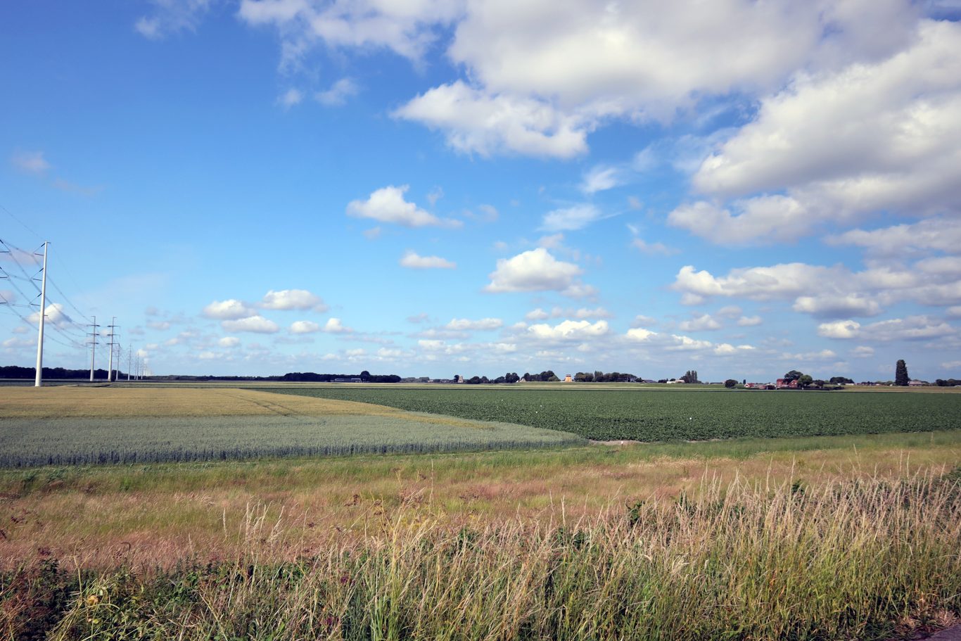 Gemeenteraad Lansingerland keert zich tegen windmolens in Kruisweg