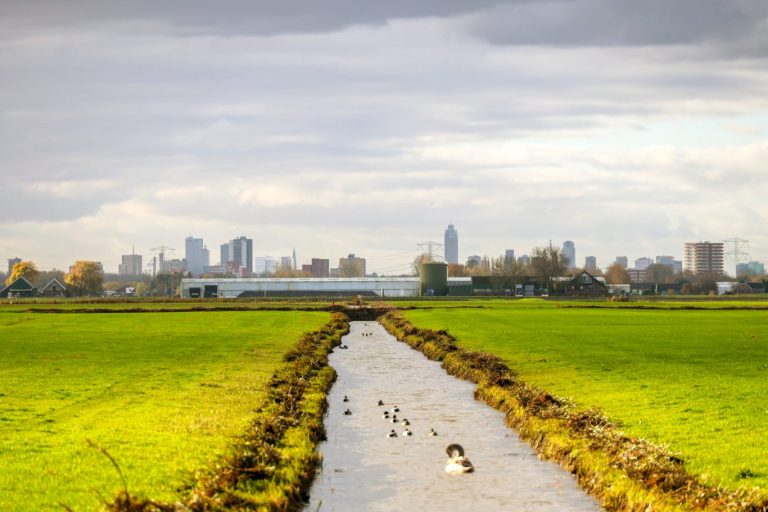Wethouder Schuurman twijfelde aan haalbaarheid Cortelande (video)           