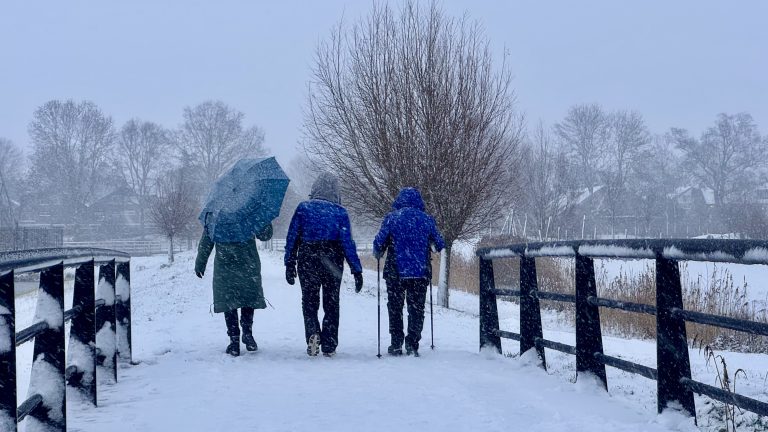 Walking in a winterwonderl