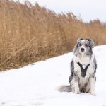 Snertwandeling 2026 20