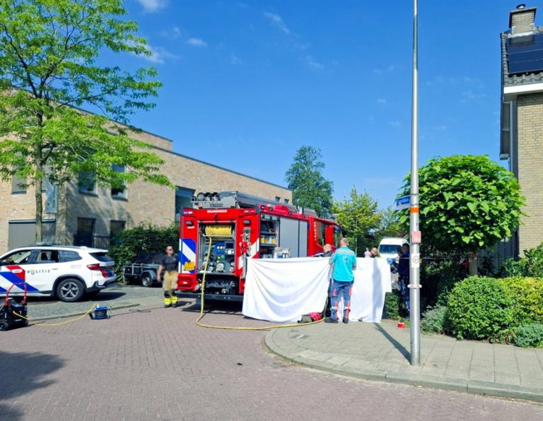 Gevangenisstraf en taakstraf na mishandeling met ammonia in Nieuwerkerk