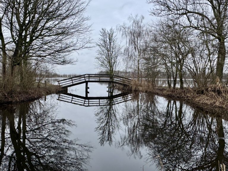 Weerspiegelend mooi in t Weegje Waddinxveen