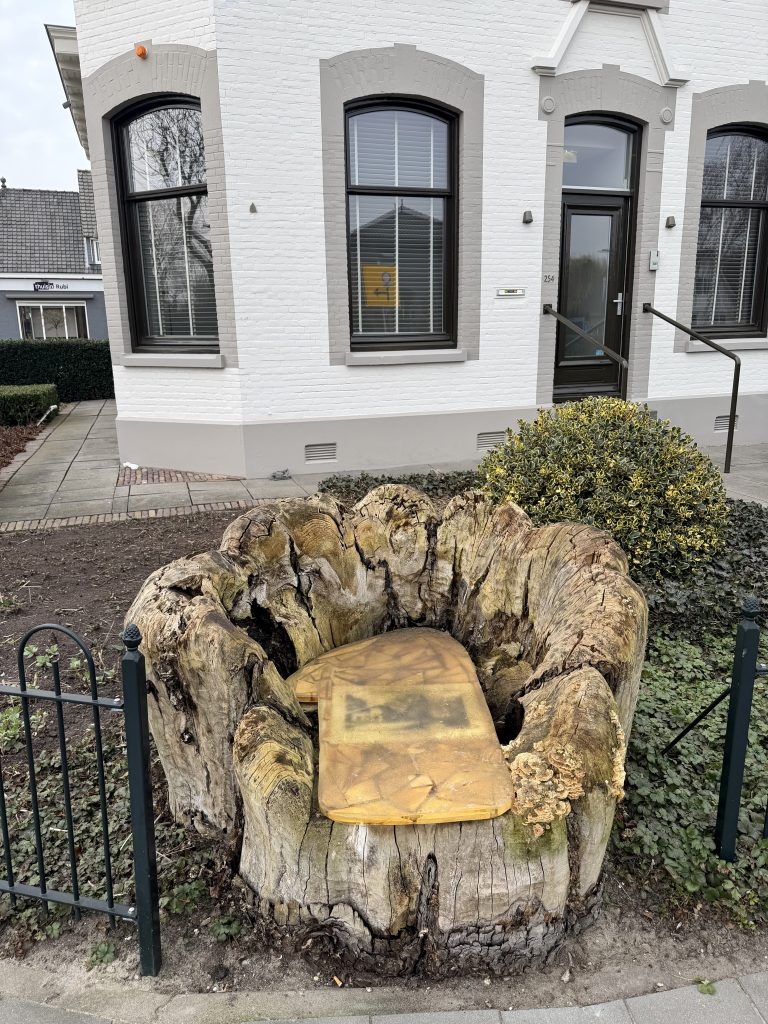 Restant kastanjeboom ‘s Gravenweg