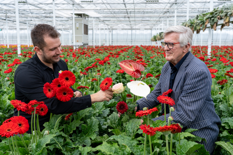 Zevenhuizense Gerbera’s voor de Paus