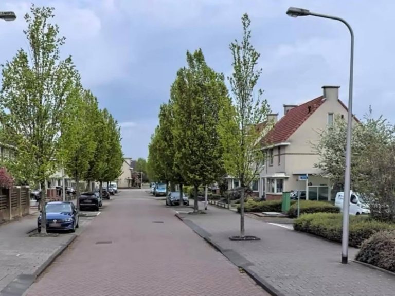 Politie zoekt getuigen geweldsincident Seine in Nieuwerkerk