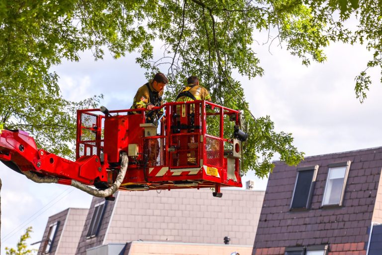Handen vol aan redding van vastzittende ekster in Nieuwerkerk