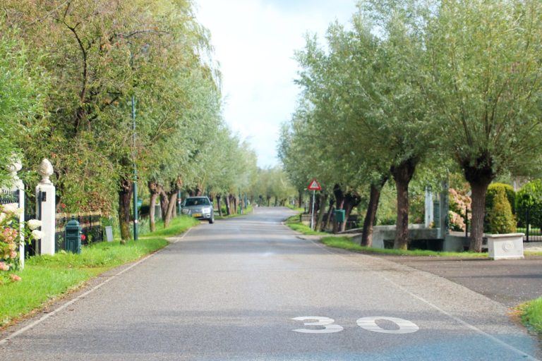 Het is voorjaar dus Zuidplas wil heel veel knotwilgen gaan kappen