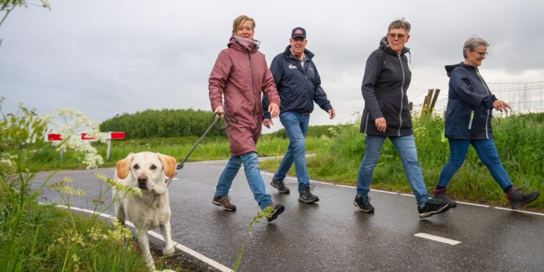 Dauwtrappen in Moerkapelle: regen houdt wandelaars niet tegen