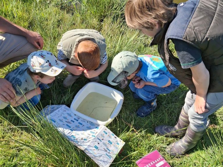 Rotta Jeugd organiseert slootjesexpeditie voor kinderen