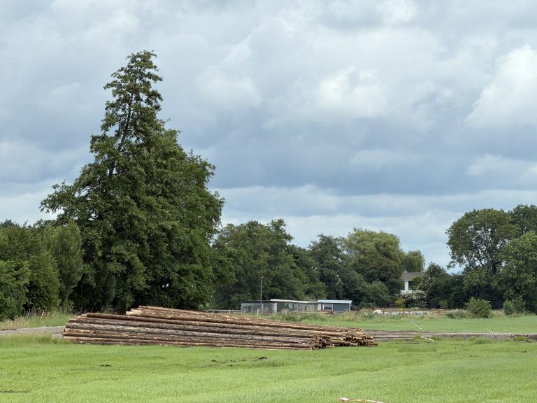 Houten heipalen voor de ROL
