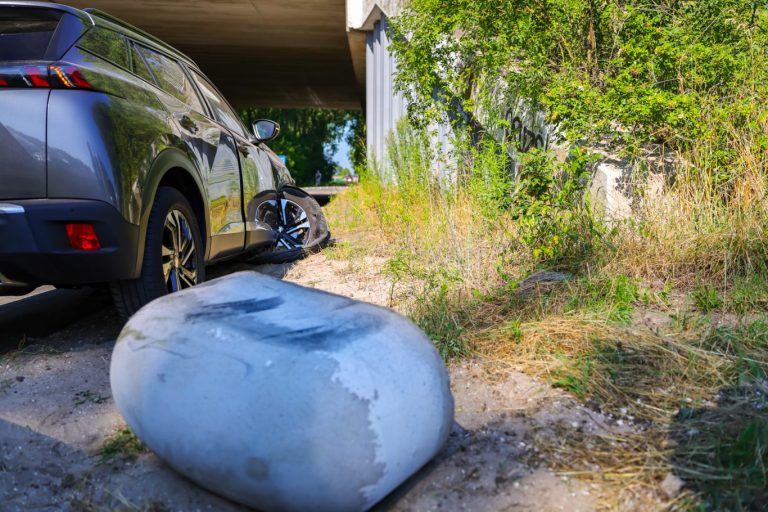 Biggenrug zorgt voor schade auto Parallelweg-Zuid Nieuwerkerk