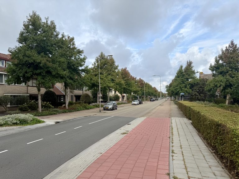 Nu de Europalaan NWK tot rotonde nog