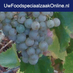 UFZO